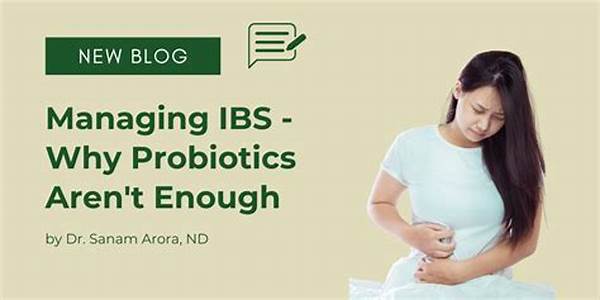 Managing Ibs Why Ferments Might Be Your Gut’s Friend