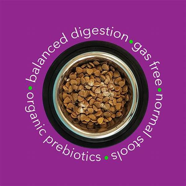 Plant-based Prebiotics Take Over Healthy Digestive Trends