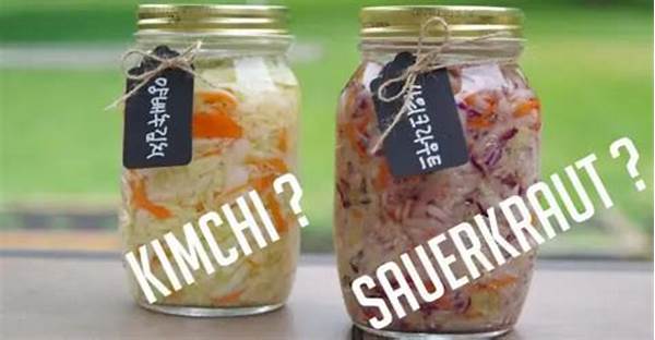 Fermented Foods Face-off: Sauerkraut Vs. Kimchi—which One Reigns Supreme For Gut Health?