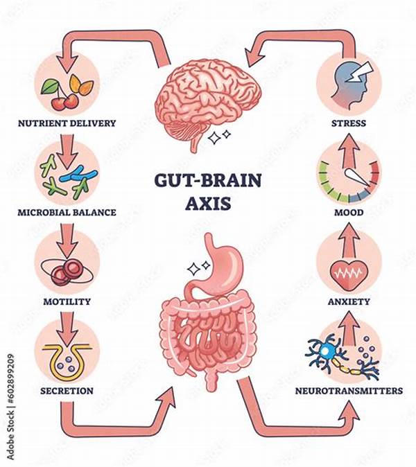 The Gut-brain Axis Secret: How To Cure Anxiety And Sleep Issues By Fixing Your Microbiome!