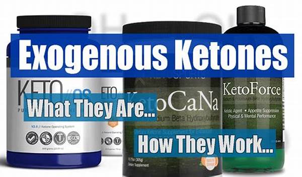 The Power Of Exogenous Ketones: Are They A Scam Or Your Keto Shortcut?